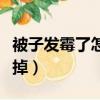 被子发霉了怎么洗掉霉菌（被子发霉了怎么洗掉）
