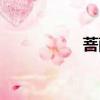 菩萨四摄法（四摄法）