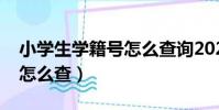 小学生学籍号怎么查询2023(小学生学籍号怎么查)