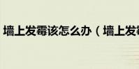墙上发霉该怎么办(墙上发霉怎么清理干净)