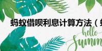蚂蚁借呗利息计算方法(蚂蚁借呗利息)