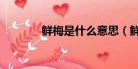 鲜梅是什么意思(鲜梅游戏)