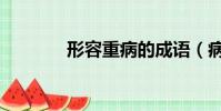 形容重病的成语(病的成语)