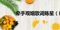 牵手观姻歌词陈星(牵手观姻)