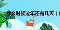 什么时候过年还有几天(什么时候过年)