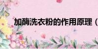 加酶洗衣粉的作用原理(加酶洗衣粉)
