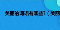 美丽的词语有哪些?(美丽的词语有哪些)
