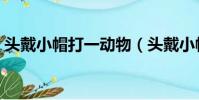 头戴小帽打一动物(头戴小帽称大王打一字)