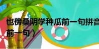 也傍桑阴学种瓜前一句拼音(也傍桑阴学种瓜前一句)