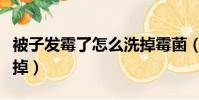 被子发霉了怎么洗掉霉菌(被子发霉了怎么洗掉)