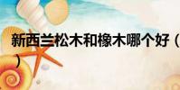 新西兰松木和橡木哪个好(松木和橡木哪个好)