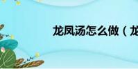龙凤汤怎么做(龙凤汤)