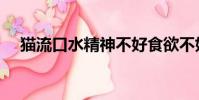 猫流口水精神不好食欲不好(猫流口水)