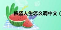 侠盗人生怎么调中文(侠盗人生)