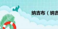 纳吉布(纳吉)