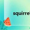 squirrels啥意思（squirrel意思）