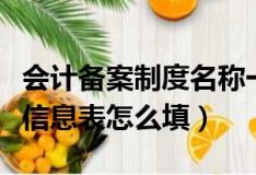 会计备案制度名称一般怎么填（会计制度备案信息表怎么填）