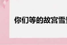 你们等的故宫雪景来了！ 发生了什么