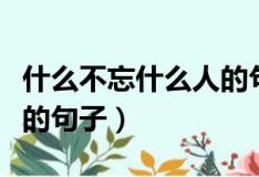 什么不忘什么人的句子成语（什么不忘什么人的句子）
