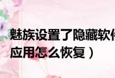 魅族设置了隐藏软件怎么设置回来（魅族隐藏应用怎么恢复）