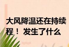 大风降温还在持续！明夜起又有新一轮雨雪过程！ 发生了什么