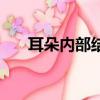 耳朵内部结构图视频（耳朵内部结构）