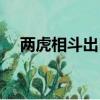 两虎相斗出自哪里（两虎相斗一只身亡）