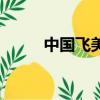 中国飞美国（专程飞美国打儿媳）