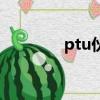 ptu伙伴演员表（ptu伙伴）