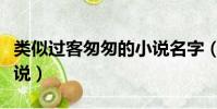 类似过客匆匆的小说名字(类似过客匆匆的小说)