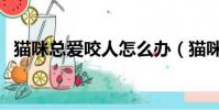 猫咪总爱咬人怎么办(猫咪爱咬人怎么办)