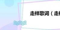 走样歌词(走样)