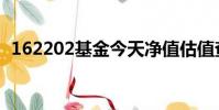 162202基金今天净值估值查询(162202)