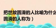 把世故圆滑的人比喻为什么三字俗语(把世故圆滑的人称为)