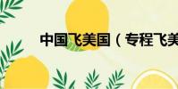中国飞美国(专程飞美国打儿媳)