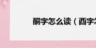 酮字怎么读(酉字怎么读)