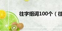往字组词100个(往字组词)