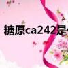 糖原ca242是什么指标（ca242是什么指标）