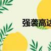 强袭高达是哪部动漫（强袭高达）