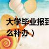 大学毕业报到证丢了怎么补办（报到证丢了怎么补办）