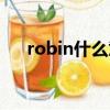 robin什么意思人名（robin什么意思）