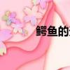 鳄鱼的天敌是什么（鳄鱼天敌）
