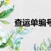 查运单编号查询（运单编号查询快递）