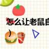 怎么让老鼠自动离开（黑老鼠和灰老鼠的区别）