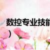 数控专业技能与职业素养专题报告（数控专业）