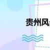 贵州风景区地图（贵州风景区）