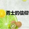 勇士的信仰宠物排名（勇士的信仰宠物）