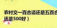 农村交一百合适还是五百合适(农村交100好还是500好)