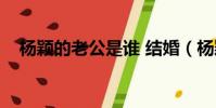 杨颖的老公是谁 结婚(杨颖的老公是谁)