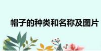 帽子的种类和名称及图片(帽子的种类)
